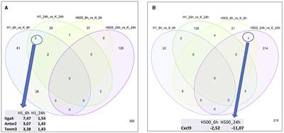 Hemokinin-1 induces transcriptomic alterations in pain-related signaling processes in rat primary sensory neurons independent of NK1 tachykinin receptor activation